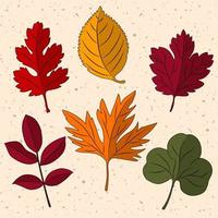 conjunto de hojas de otoño. aislado vector