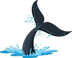 A tail of a whale in the water vector