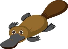 Platypus in flat cartoon style vector