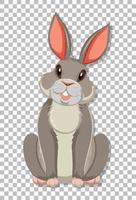 Cute rabbit on grid background vector