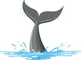 A tail of a whale in the water vector