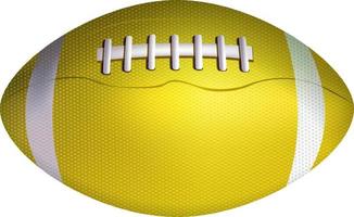 Realistic Rugby Ball Isolated vector