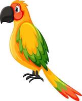 pájaro loro en estilo de dibujos animados vector