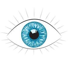 Human eye. Vector illustration isolated on white background.