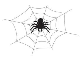 Spider on the web. Vector illustration isolated on white background.