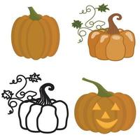 Set of pumpkins. Vector illustration isolated on white background.