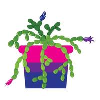 Cactus in a pot painted in the colors of the bisexual flag. vector