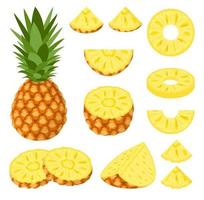 Set of fresh whole, half, cut slice pineapple fruits isolated on white background. Summer fruits for healthy lifestyle. Organic fruit. Cartoon style. Vector illustration for any design.