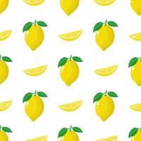 Seamless pattern with fresh whole, slice lemon fruit on white background. Vector illustration for design, web, wrapping paper, fabric, wallpaper