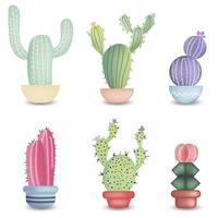 Set of different colorful realistic cactuses in pot. Vector illustration isolated on white background.