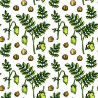 Hand drawn chickpeas seamless pattern. Vector illustration in colored sketch style