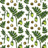 Hand drawn chickpeas seamless pattern. Vector illustration in colored sketch style