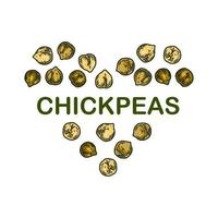 Colorful chickpeas design. Hand drawn illustration in colored sketch style. Botany design for packaging, label, banner, logo vector