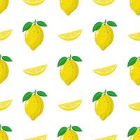 Seamless pattern with fresh whole, slice lemon fruit on white background. Vector illustration for design, web, wrapping paper, fabric, wallpaper