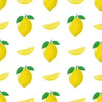 Seamless pattern with fresh whole, slice lemon fruit on white background. Vector illustration for design, web, wrapping paper, fabric, wallpaper