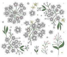 Set of vector floral decorative elements with wormwood. Flat trendy illustration with white flowers, leaves, branches. Woodland forest clip art collection. Beautiful spring or summer bouquet