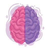 creative brain human organ vector