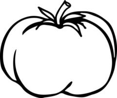 Line drawn tomato. vector