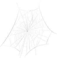 Spider web halloween holiday decoration. vector