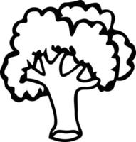 Cauliflower is drawn with a line. vector