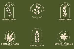 Minimalist Gray Leaf Leaves Tropical Logo Collection Template  Style Dark Green Pastel. vector