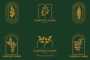 Minimalist Golden Leaf Leaves Tropical Logo Collection Style Dark Green Pastel. vector