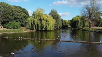 Vista al lago y aves acuáticas en el parque público local de Inglaterra Gran Bretaña Reino Unido video