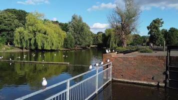 Blick auf den See und Wasservögel im örtlichen öffentlichen Park von England, Großbritannien, Großbritannien video