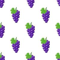 Seamless pattern with purple grapes on white background. Bunch of purple grapes with stem and leaf. Cartoon style. Vector illustration for design, web, wrapping paper, fabric, wallpaper