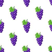 Seamless pattern with purple grapes on white background. Bunch of purple grapes with stem and leaf. Cartoon style. Vector illustration for design, web, wrapping paper, fabric, wallpaper