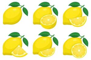 conjunto de grupos de frutas de limón entero, medio, cortado en rodajas aisladas sobre fondo blanco. frutas de verano para un estilo de vida saludable. fruta organica estilo de dibujos animados ilustración vectorial para cualquier diseño. vector