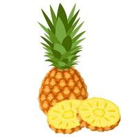 Fresh whole and cut rings pineapple fruit isolated on white background. Summer fruits for healthy lifestyle. Organic fruit. Cartoon style. Vector illustration for any design.