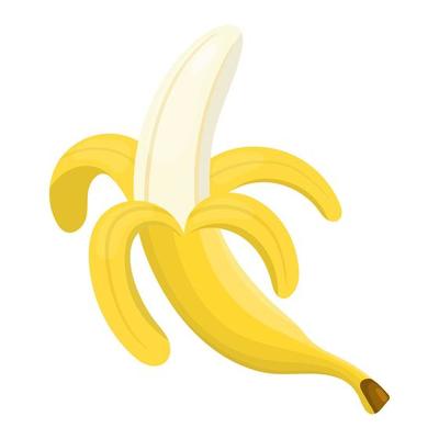 Fresh half peeled banana isolated on white background. Yellow cartoon banana for market, recipe design. Sweet organic food. Vector illustration for any design.