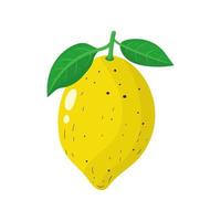 Fresh lemon isolated on white background. Organic fruit. Cartoon style. Vector illustration for any design