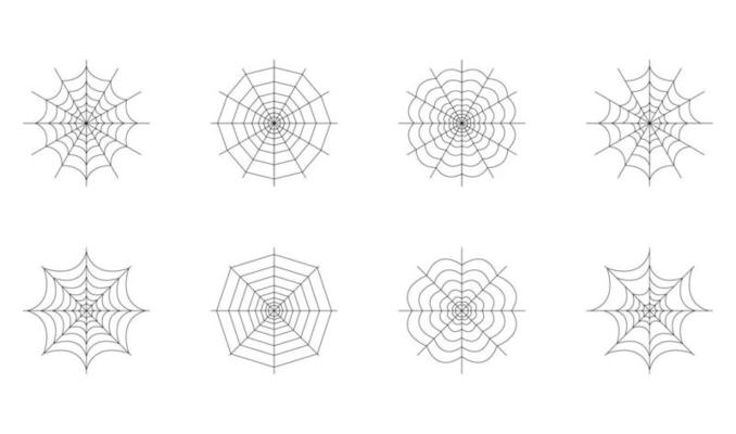 Set of spider web isolated on white background. Halloween spiderweb elements. Collection cobweb line style. Vector illustration for any design.