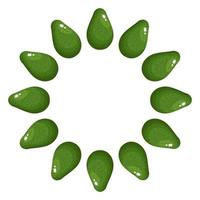 corona de aguacate entero verde con espacio para texto. comida dulce orgánica de dibujos animados. frutas de verano para un estilo de vida saludable. ilustración vectorial para cualquier diseño. vector