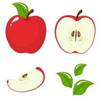 conjunto de frutas frescas enteras, medias, rebanadas y hojas de manzana roja aisladas en fondo blanco. frutas de verano para un estilo de vida saludable. fruta organica estilo de dibujos animados ilustración vectorial para cualquier diseño.