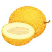 fruta fresca entera y medio melón aislada sobre fondo blanco. melón dulce. frutas de verano para un estilo de vida saludable. fruta organica estilo de dibujos animados ilustración vectorial para cualquier diseño. vector