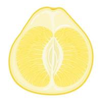 fruta de pomelo fresca, exótica y brillante, medio amarilla, aislada en fondo blanco. frutas de verano para un estilo de vida saludable. fruta organica estilo de dibujos animados ilustración vectorial para cualquier diseño. vector