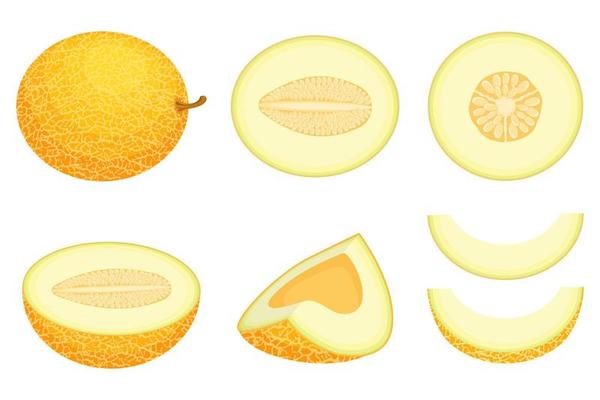 Set of fresh whole, half, cut slice melon fruit isolated on white background. Honeydew melon. Summer fruits for healthy lifestyle. Organic fruit. Cartoon style. Vector illustration for any design.