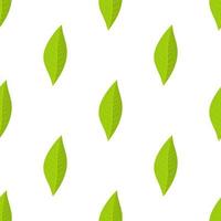 Seamless pattern with green leaves oforange fruit on white background. Vector illustration for design, web, wrapping paper, fabric, wallpaper