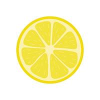 Fresh half of lemon isolated on white background. Organic fruit. Cartoon style. Vector illustration for any design