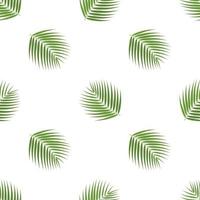 Seamless pattern with cartoon detailed exotic coconut leaf on white background. Vector illustration for any design.