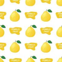 Seamless pattern with fresh bright exotic whole and cut slice pomelo fruit on white background. Summer fruits for healthy lifestyle. Organic fruit. Cartoon style. Vector illustration for any design