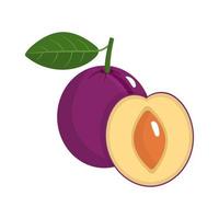 Whole and half plum with stem and leaf isolated on white background. Organic fruit. Cartoon style. Vector illustration for any design.
