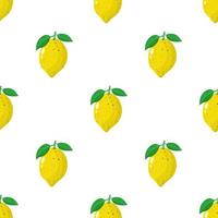 Seamless pattern with fresh whole lemon fruit on white background. Vector illustration for design, web, wrapping paper, fabric, wallpaper