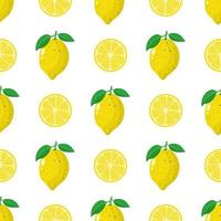 Seamless pattern with fresh whole, half lemon fruit on white background. Vector illustration for design, web, wrapping paper, fabric, wallpaper