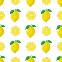 Seamless pattern with fresh whole, half lemon fruit on white background. Vector illustration for design, web, wrapping paper, fabric, wallpaper