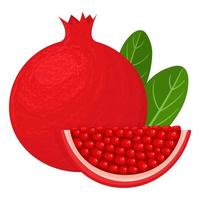 Fresh bright exotic whole and chunk pomegranate with leaves isolated on white background. Summer fruits for healthy lifestyle. Organic fruit. Cartoon style. Vector illustration for any design.