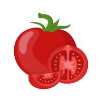 vegetales de tomate rojo fresco aislados en fondo blanco. icono de tomate entero, medio y cortado para el mercado, diseño de recetas, logotipo. alimentos orgánicos. estilo de dibujos animados ilustración vectorial para el diseño. vector